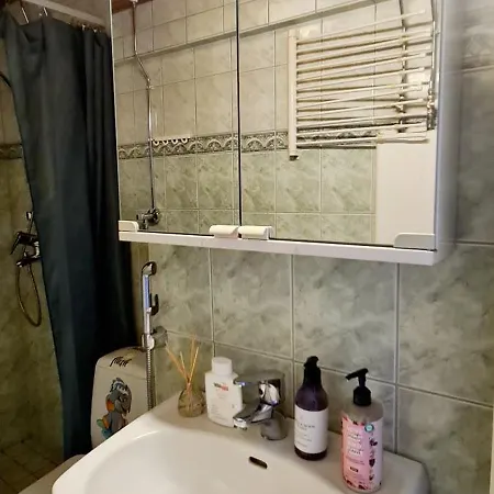 Homestay Private Only In At Herttoniemi